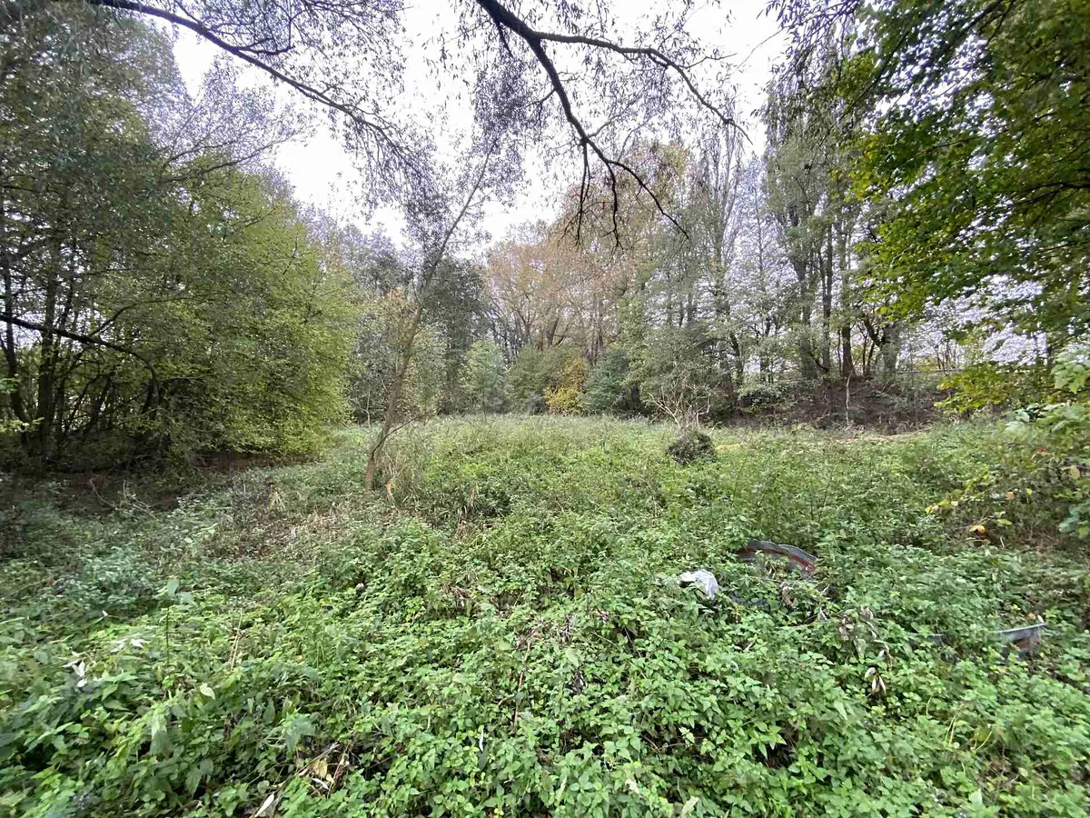 Prodej pozemku 1049 m²